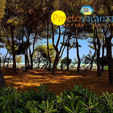Myconos C2 - Pineto Vacanza Экстерьер фото